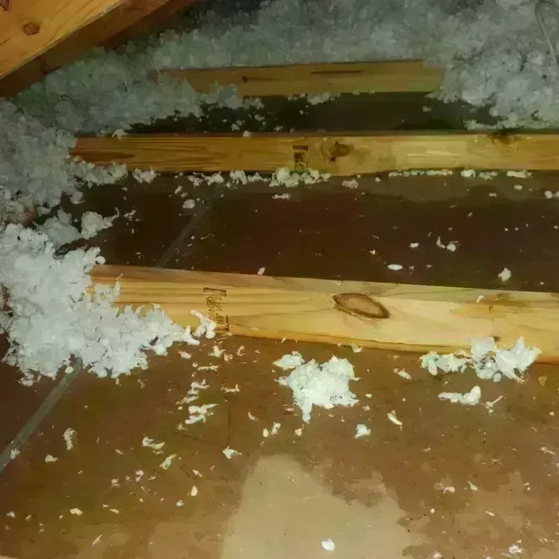 Attic Water Damage in Chamblee, GA