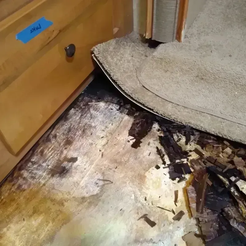 Wood Floor Water Damage in Chamblee, GA